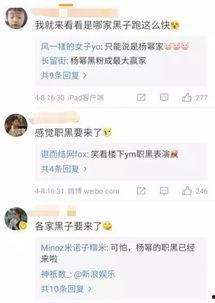 明星片酬高論文,揭秘娱乐圈背后的经济真相